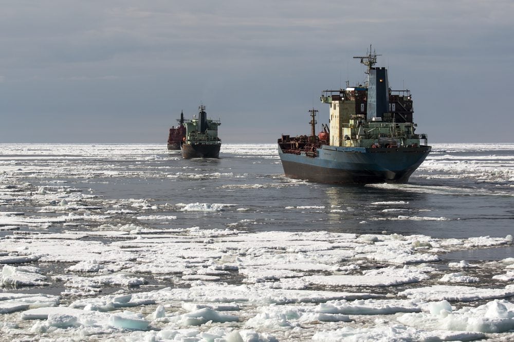 Murmansk to load first grain exports using fertiliser-handling equipment